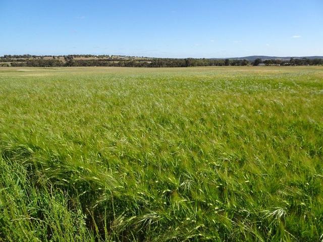 Lot 51 & 1 Boyagarra Road, WA 6306