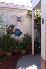 Frontyard (2014-01-15)