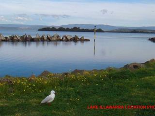 bird photo with txt