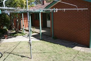 Backyard (2013-03-12)