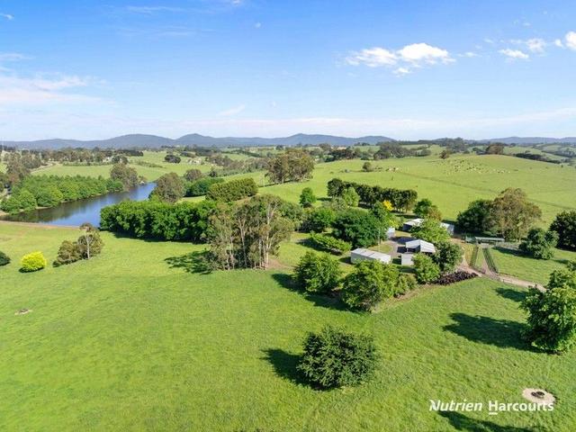 235 Neerim East Road, VIC 3831