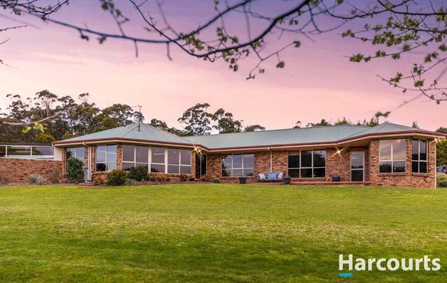 51 Gumbowie Drive, TAS 7307