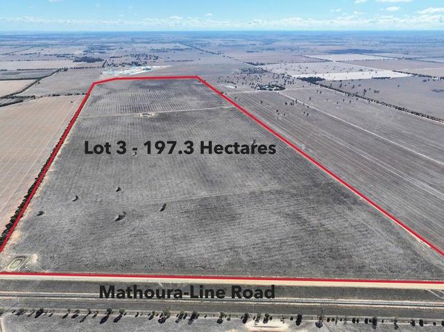 Lot 3 Mathoura Line Road, NSW 2731