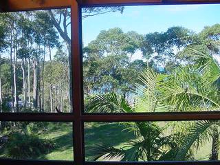 Cedar Windows