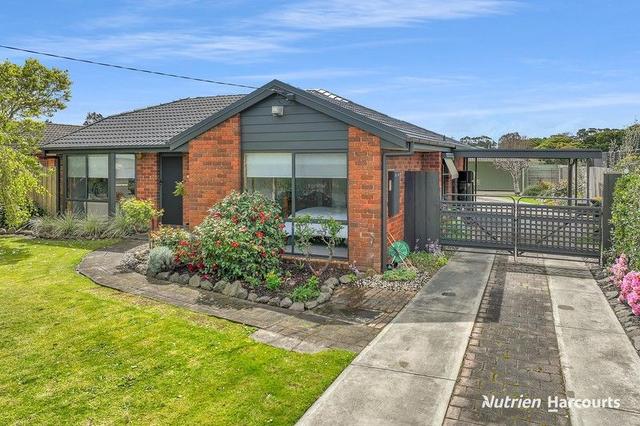 20 McLean Street, VIC 3971