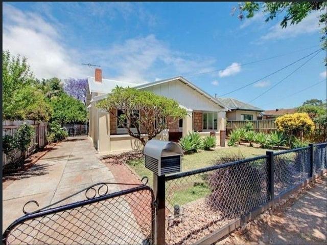 29 Morgan Av, SA 5041