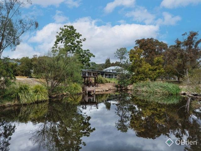 50 Orrs Road, VIC 3875