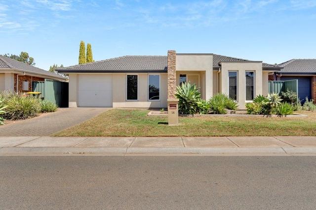 14 Buckley Street, SA 5116