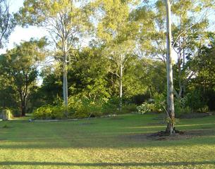 Part of Garden