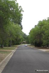 Streetscape (2008-01-15)