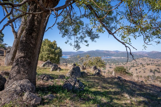 2656 Reg Hailstone Way, NSW 2808