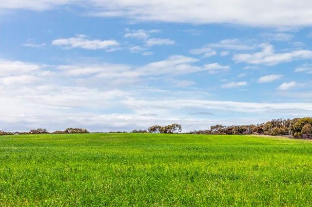 1305 Charleson Road, SA 5309