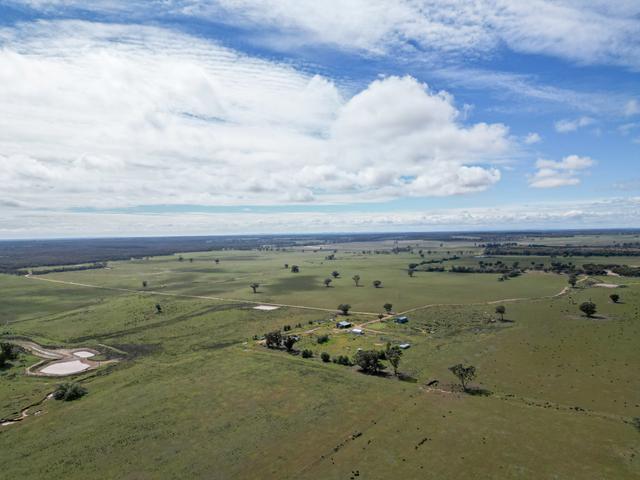 ' Dalmallee' 735 Charcoal Tank Road, NSW 2671
