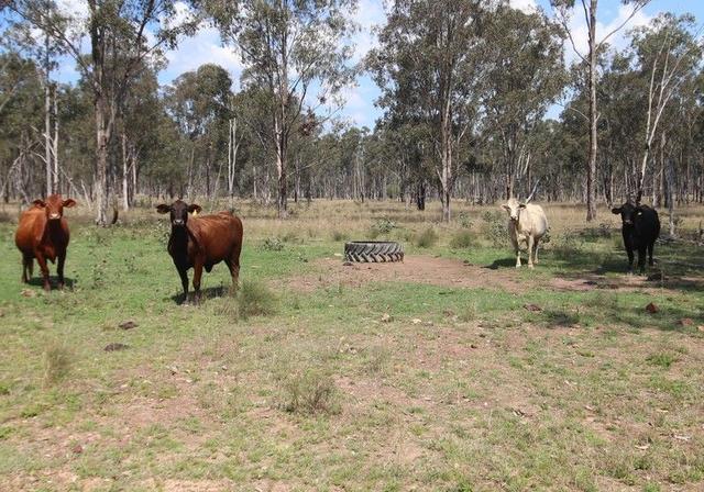 Lot D Mundubbera Durong Road, QLD 4626