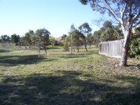 View of Reserve