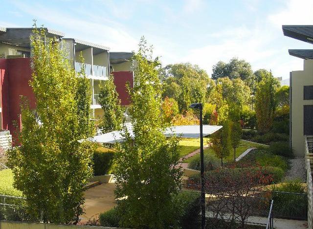60/1 Braybrooke Street, ACT 2617