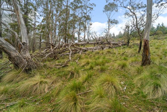 Lot 26 Big Jack Mountain Road, NSW 2632