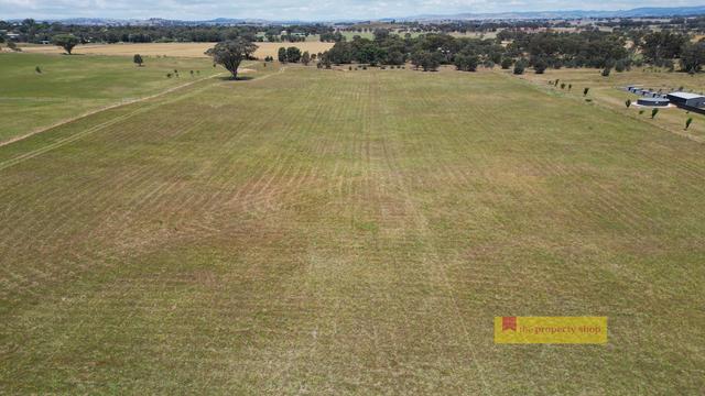 215 Black Lead Lane, NSW 2852