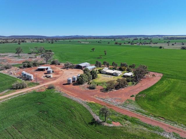 2666 Henry Parkes Way, NSW 2876