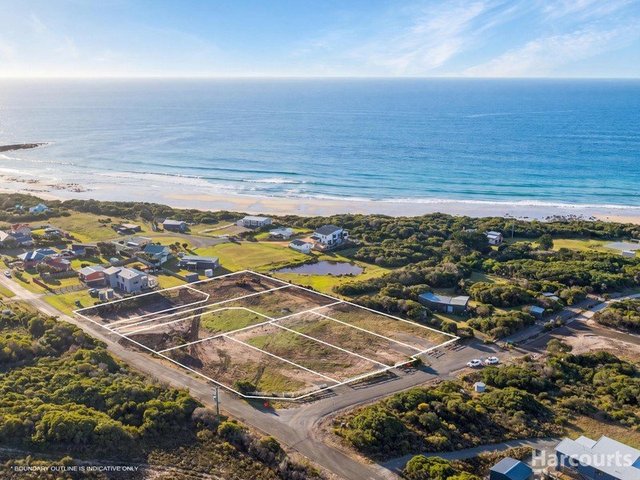 86 Bellbuoy Beach Road, TAS 7253
