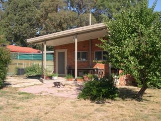 Backyard (2007-01-12)