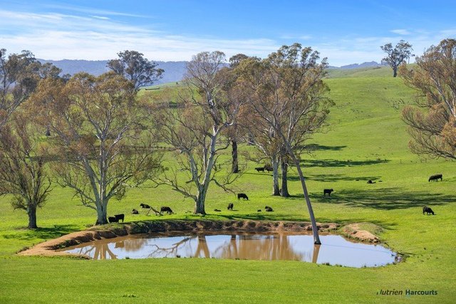 2222 Goulburn Valley Highway, VIC 3714