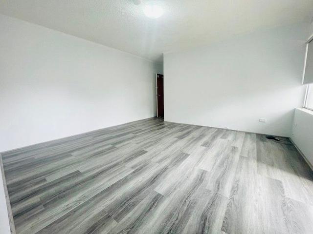 2/353 New Canterbury Road, NSW 2203