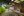 1/1 Janice Court, Goonellabah NSW 2480, Goonellabah - Thumbnail 7
