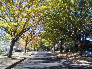 View of street