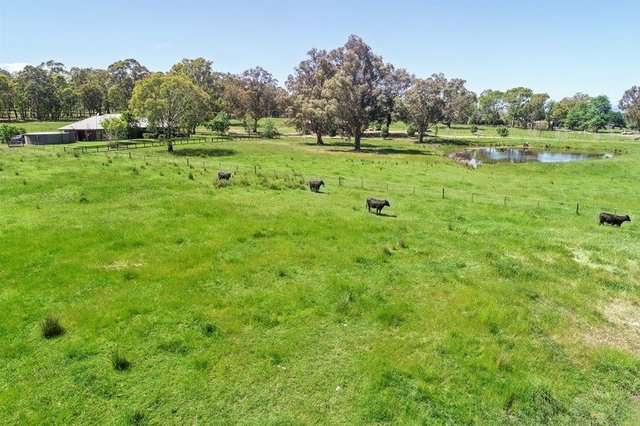 257 Blue Range Road, VIC 3723