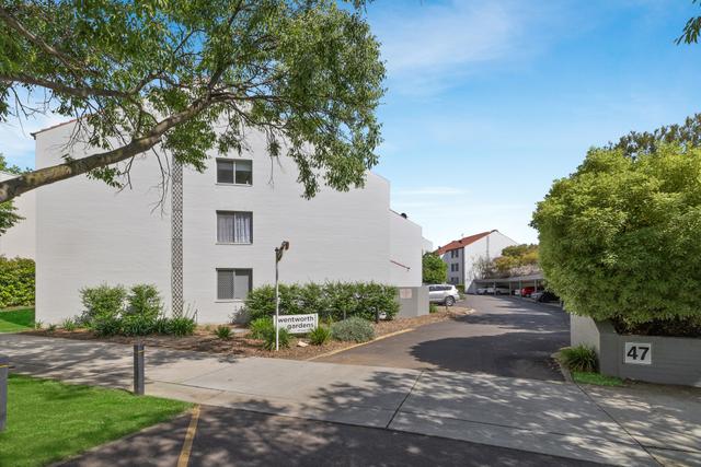 6/47 Eyre Street, ACT 2604