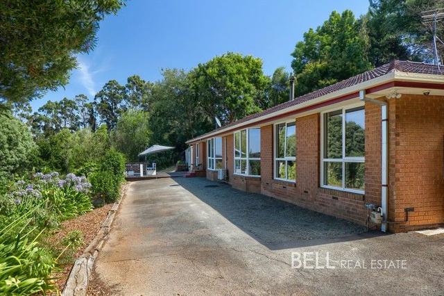 9 Beenak East Road, VIC 3783