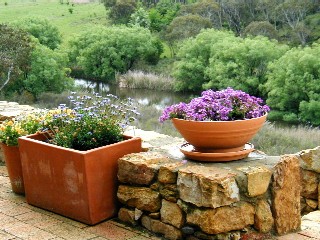 View to river