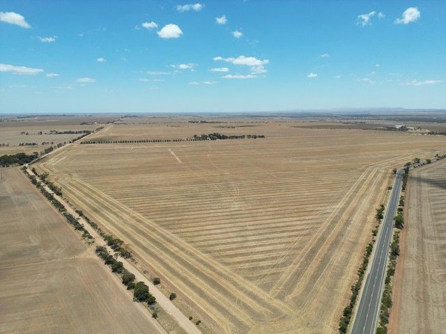 114 Coconut Road, SA 5552