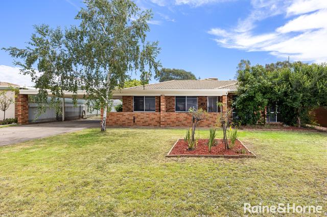 17 Karoom Drive, NSW 2650