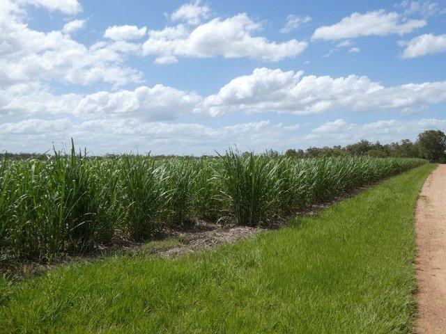 3392 Childers Road, QLD 4660