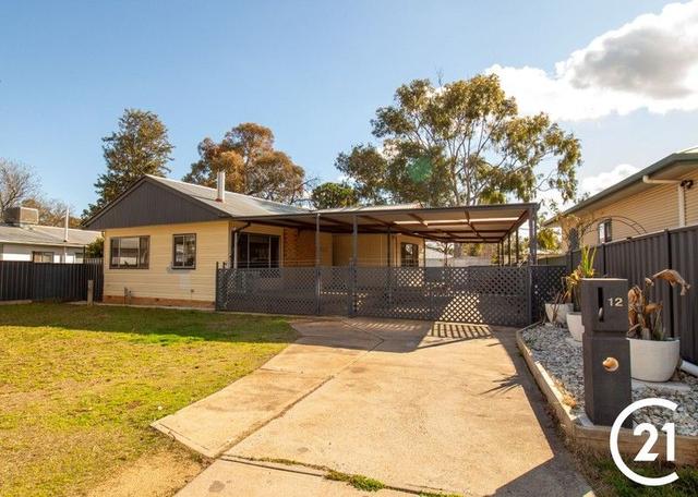 12 Elliot Street, NSW 2871