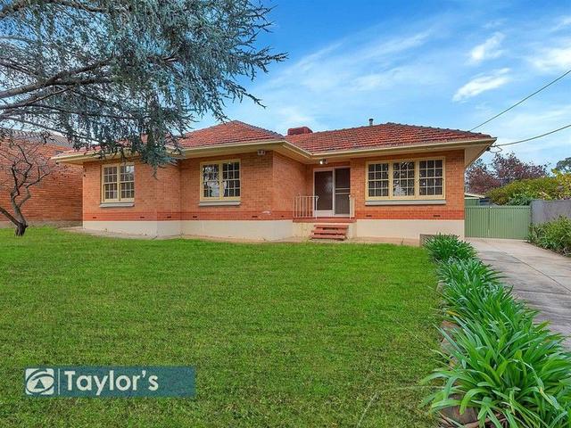 11 Palana Avenue, SA 5098
