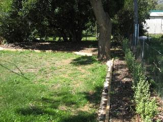 Standard Photo (2011-10-12)