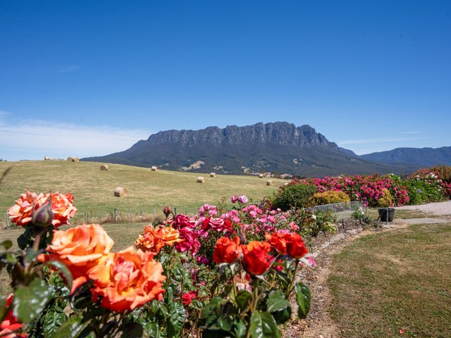 123 Careys Road, TAS 7306