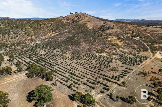 3320 Ararat - St Arnaud Road, VIC 3384