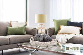 Standard Photo (2019-10-04)