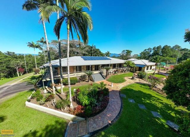 409 Flying Fish Point Road, QLD 4860