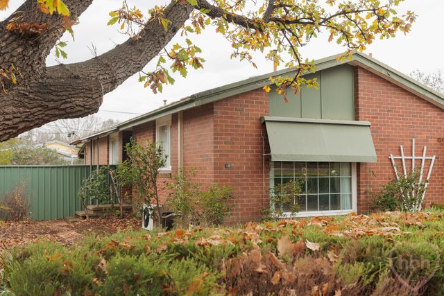 115 Wattle Street, ACT 2602