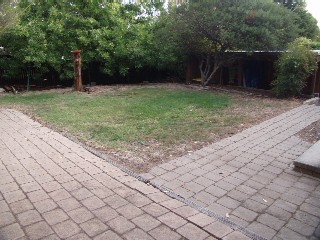 backyard 2