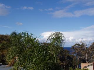 View (2006-06-01)