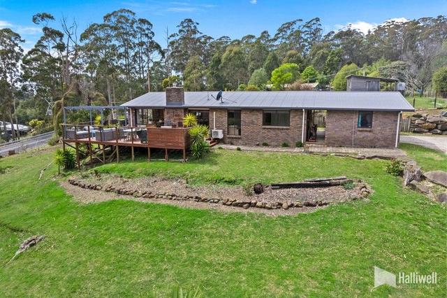 243 Kelcey Tier  Road, TAS 7310