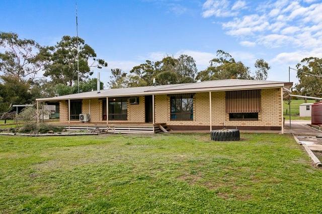 43 Slaughterhouse Road, SA 5453