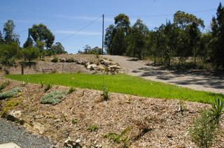 Garden (2008-03-25)