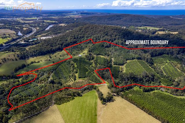 31 Wesley Avenue, NSW 2447